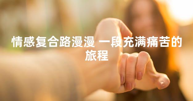 情感复合路漫漫 一段充满痛苦的旅程